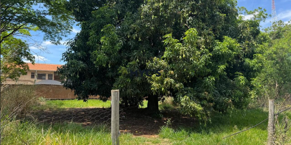 Captura de tela 2025-11-24 134045